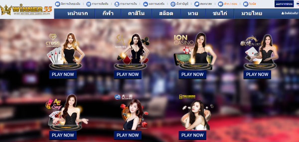 winner55 บาคาร่า คาสิโน